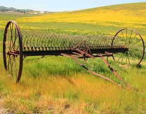 An American Farmer’s Lament Image